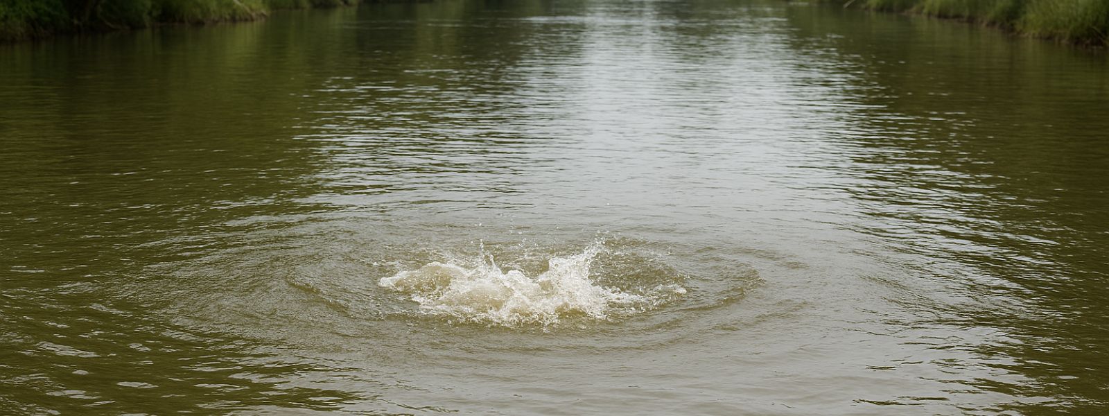 Nine-Year-Old Girl Killed in Crocodile Attack